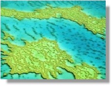 The Great Barrier Reef, at risk from global warming.