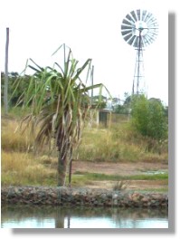 Stormwater Quality Management Powered by the Wind.