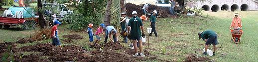 Community Tree Day Planting - 5th March 2005