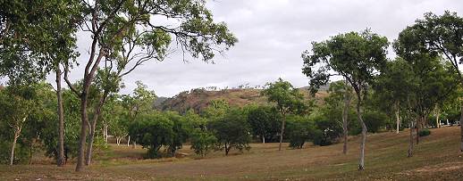 Edison street park hill view