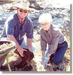 Planting at Wulguru