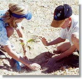 Planting at Wulguru